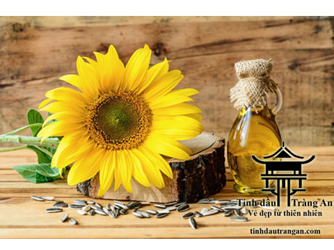 Dầu Hướng Dương - Sunflower Oil