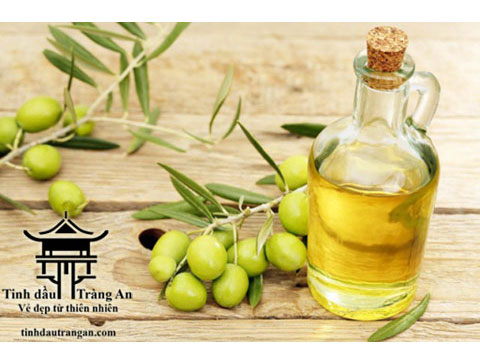 Dầu Oliu - Olive Oil