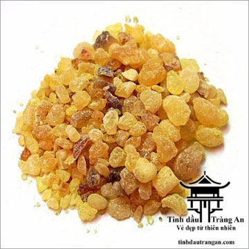 Tinh Dầu Hương Trầm - Frankincense