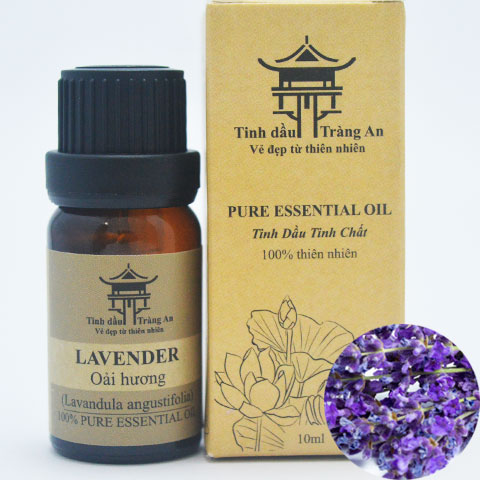 Tinh Dầu Oải Hương - Lavender