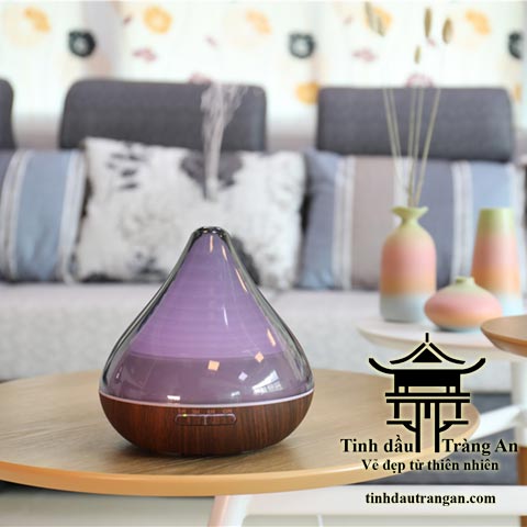 Máy khuếch tán tinh dầu bảo hành 6 tháng + tặng kèm 1 tinh dầu cam hoặc tràm gió 10ml Máy khuếch tán tinh dầu bảo hành 6 tháng + tặng kèm 1 tinh dầu cam hoặc tràm gió 10ml