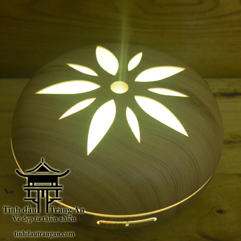 Máy Khuếch Tán Tinh Dầu Phun Sương HS01